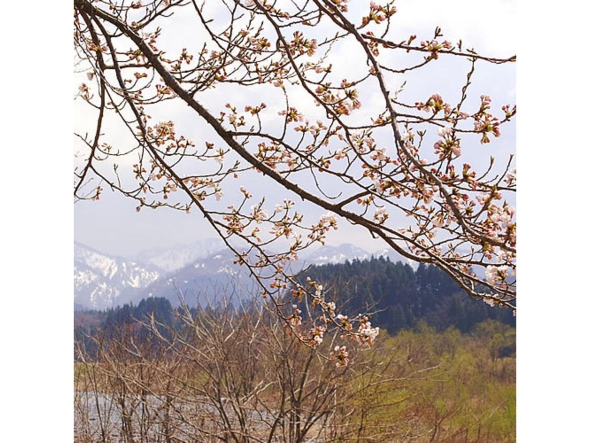 Shintainai Onsen Royal Tainai Park Hotel - Vacation Stay 90212V Bagian luar foto