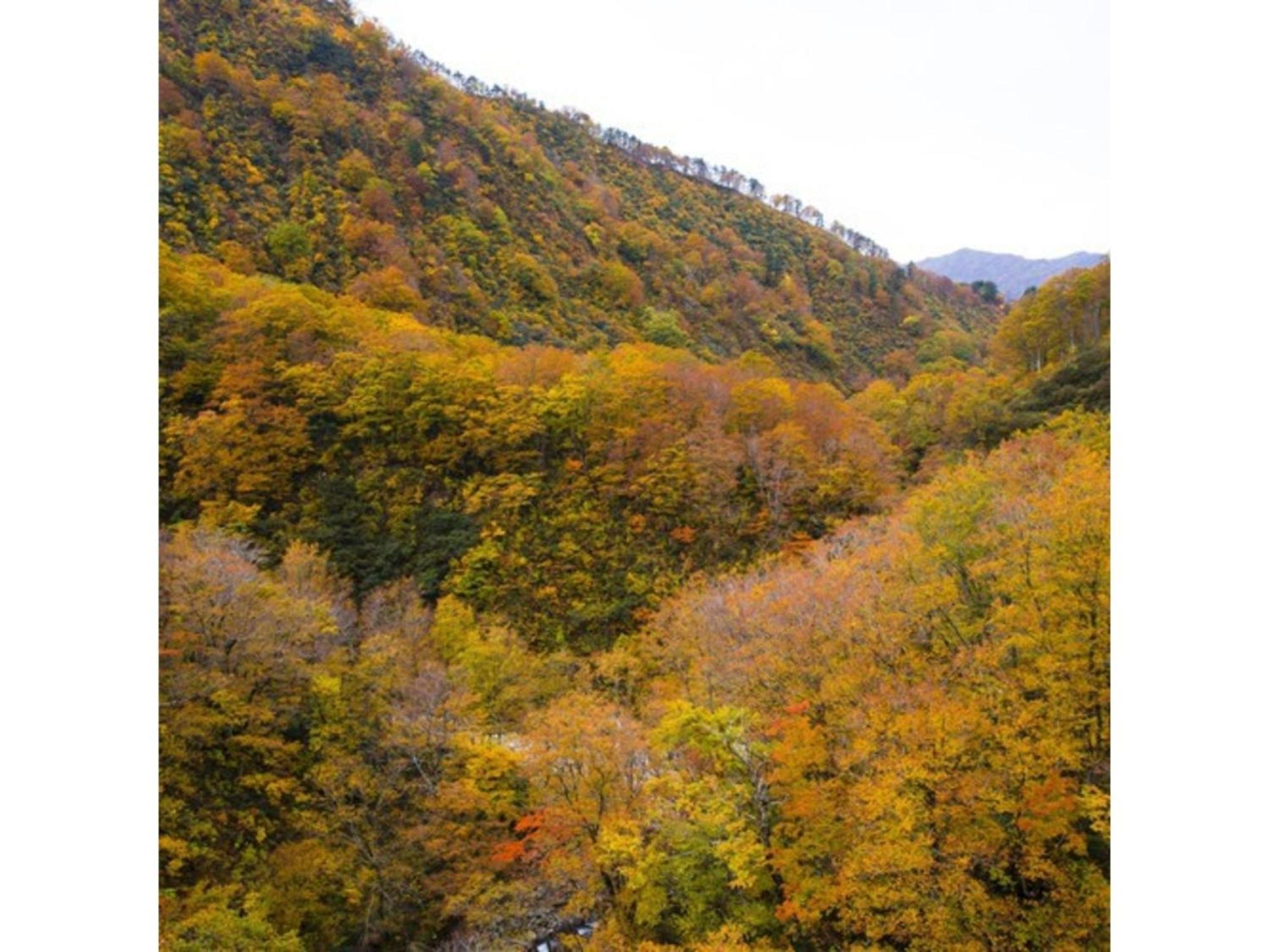 Shintainai Onsen Royal Tainai Park Hotel - Vacation Stay 90212V Bagian luar foto