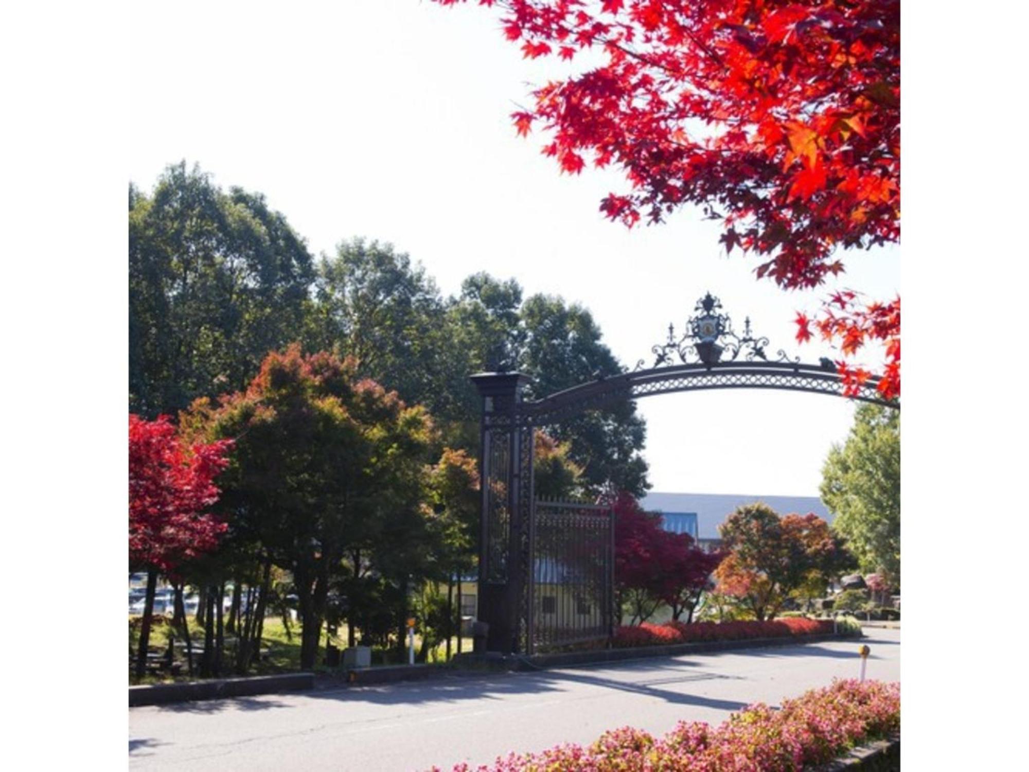 Shintainai Onsen Royal Tainai Park Hotel - Vacation Stay 90212V Bagian luar foto